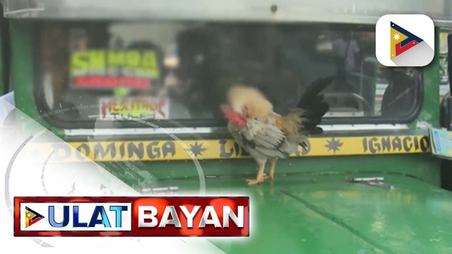 Random road worthiness inspection, ikinasa ng DOTr-SAICT sa Pasay City | ulat ni Vel Custodio