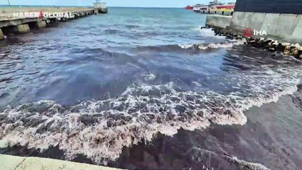 Poyraz kızıl yosun getirdi