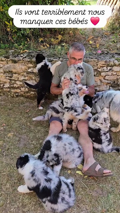 Laurent Jalabert entouré des chiots de sa chienne Théa. Instagram le 14 août 2025.