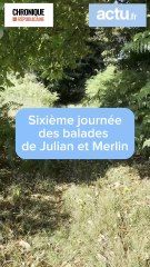 Les balades de Julian et Merlin