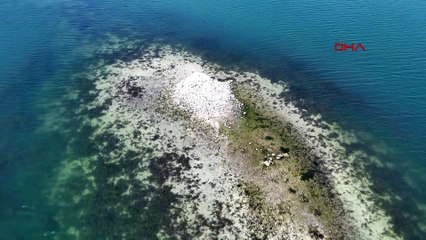 Sapanca Gölü'nde sular çekilince tarihi kilise ortaya çıktı