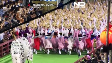 Awa Odori festival in Japan continues with nightly so-odori performances