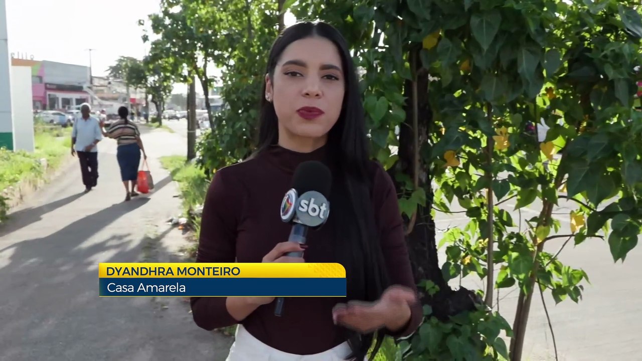 Escorpião em casa: aumentam casos de acidentes...