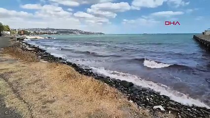 Sahil şeridinde denizin rengi maviden kırmızıya döndü!