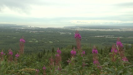 Anchorage Prepared for Trump-Putin Summit, Mayor Expresses Hope for Peace