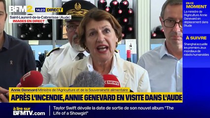 Incendie dans l'Aude : L'Etat débloque un fonds d'urgence de 8 millions d'euros pour les agriculteurs sinistrés, en majorité des viticulteurs - VIDEO