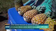 Empreendedorismo agro: jovem assume produção de abacaxi da família