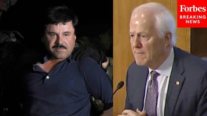 'We Are Losing': John Cornyn Warns U.S. Needs Change Anti-Cartel Strategy