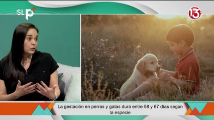 SLP Miércoles 13 de agosto entrevista 3