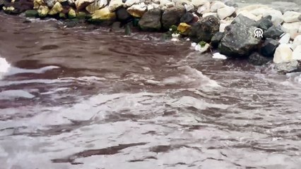 Sahil kırmızıya büründü