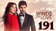 Ruzgarli Tepe - Episode 191