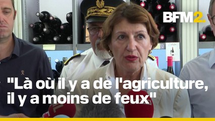 Aude: Annie Genevard annonce un fonds d'urgence de huit millions d'euros pour les agriculteurs