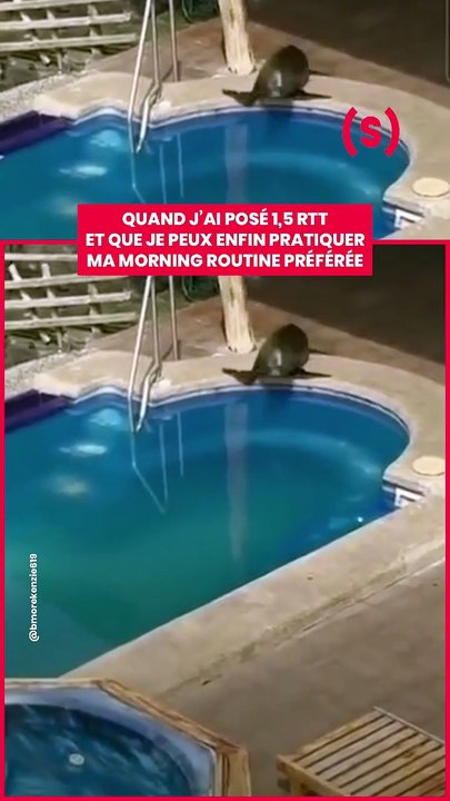 « Allez pousse-toi Michel, on la connaît la technique de la serviette de 7h du mat’ » __ #Otarie #V