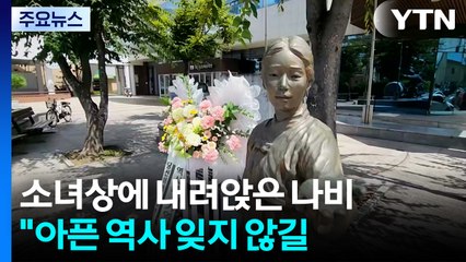 광복절, 평화의 소녀상에 내려앉은 '희망의 나비' / YTN