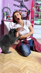 This is how my cat says 'I love you' 😅🐱 #fyp #foryou #cat #cats