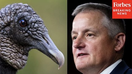 Bruce Westerman Praises Bipartisan Bill That Provides 'Much Needed Relief To Farmers And Ranchers'