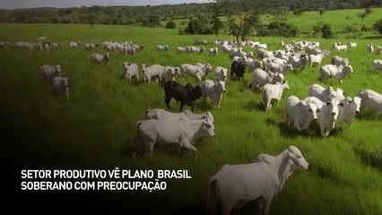 Setor produtivo vê Plano Brasil Soberano com preocupação