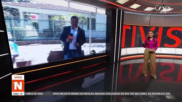 Abejas atacan a vecinos