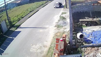 Abandono de cachorros em Araquari