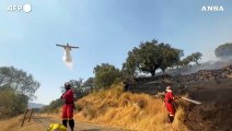 Incendio in Estremadura, quest'anno bruciati quasi 100mila ettari in Spagna