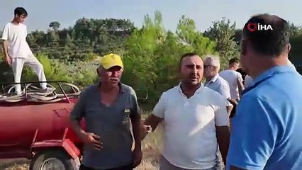 Manisa’daki yangında 5 hektarlık kızılçam ormanı zarar gördü