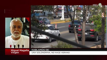 Una golondrina, no hace verano | Miguel Magaña Virgen