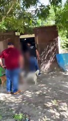 Homem preso após denúncia por maus-tratos e pratica sexual com cães