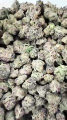 Diesel Dispensary  Your Go-To Spot for Premium Cannabis