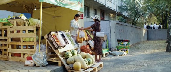 Agente de Kung Fu Pelìcula en Español Audio Latino