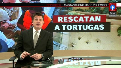 Autoridades federales y estatales de Michoacán rescatan a cien tortugas