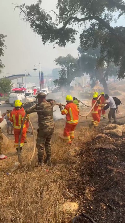 Nord du Maroc : plusieurs forêts sous les flammes
