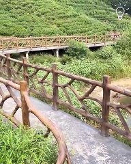 Crafting stunning nature-inspired structures using cement!