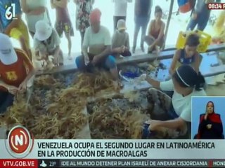 FAO sitúa a Venezuela como el segundo país productor de macroalgas de América Latina