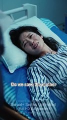 Ride The Wind Baby's Aduance Full Chinese Drama