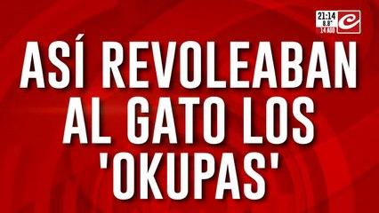 Guerra de vecinos: así revoleaban al gato los "okupas".: