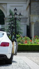 赵振栋、崔十一、王轩：他本该光芒万丈（下篇）✨