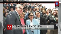 Pobreza por falta de electricidad se redujo 37.5%: Luz Elena González