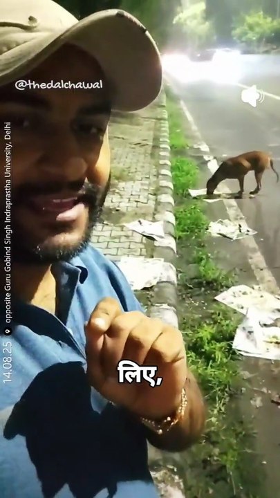 In India, After Stray Dogs, Now the Stray Cattle Crisis — Why is the Government Still Asleep?