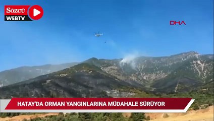 Hatay'da orman yangınlarına müdahale sürüyor