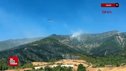 Hatay'da orman yangınlarına müdahale sürüyor