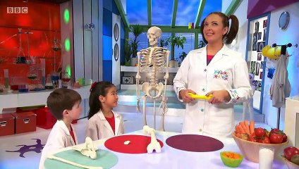 Cbeebies Nina And The Neurons Brilliant Bodies Broken Bones 1x24...mp4