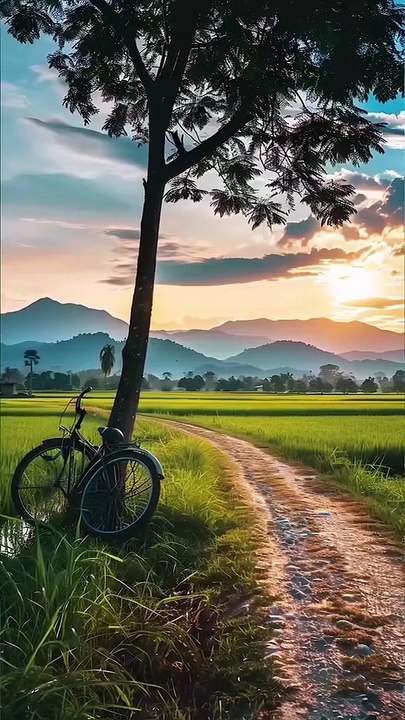 Good morning have a lovely beautiful day