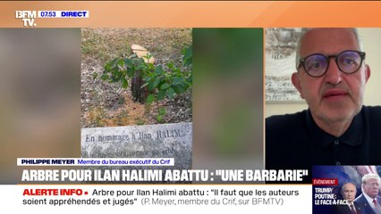 Arbre pour Ilan Halimi abattu: "Il faudra que les auteurs de cet acte soient jugés sévèrement", affirme Philippe Meyer (Crif)
