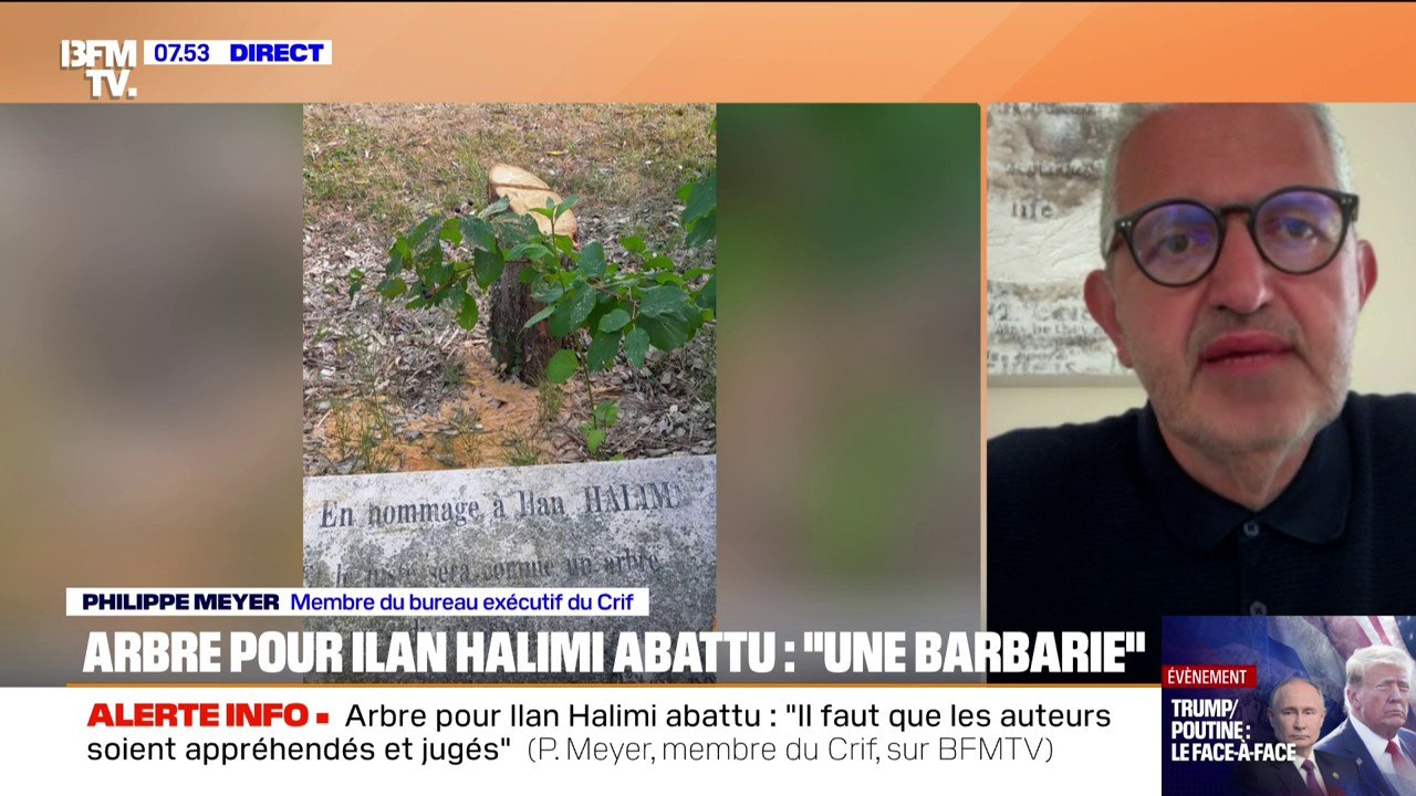 Arbre pour Ilan Halimi abattu: "Il faudra que les auteurs de cet acte soient jugés sévèrement", affirme Philippe Meyer (Crif)