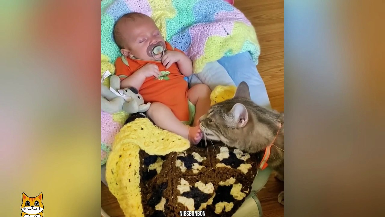 When Your Kids Are Raised by a Cat 😂