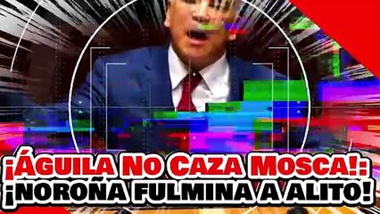 🔥🚨¡ÁGUILA NO CAZA MOSCA! ¡NOROÑA FULMINA a ‘ALITO’ con FRASE DEMOLEDORA de HUGO CHÁVEZ!