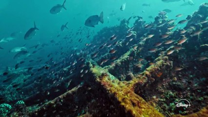 Shipwreck Hunters Australia - S02 Trailer (English) HD