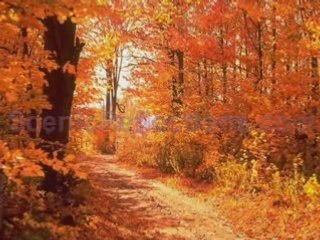 When I need you Leo Sayer