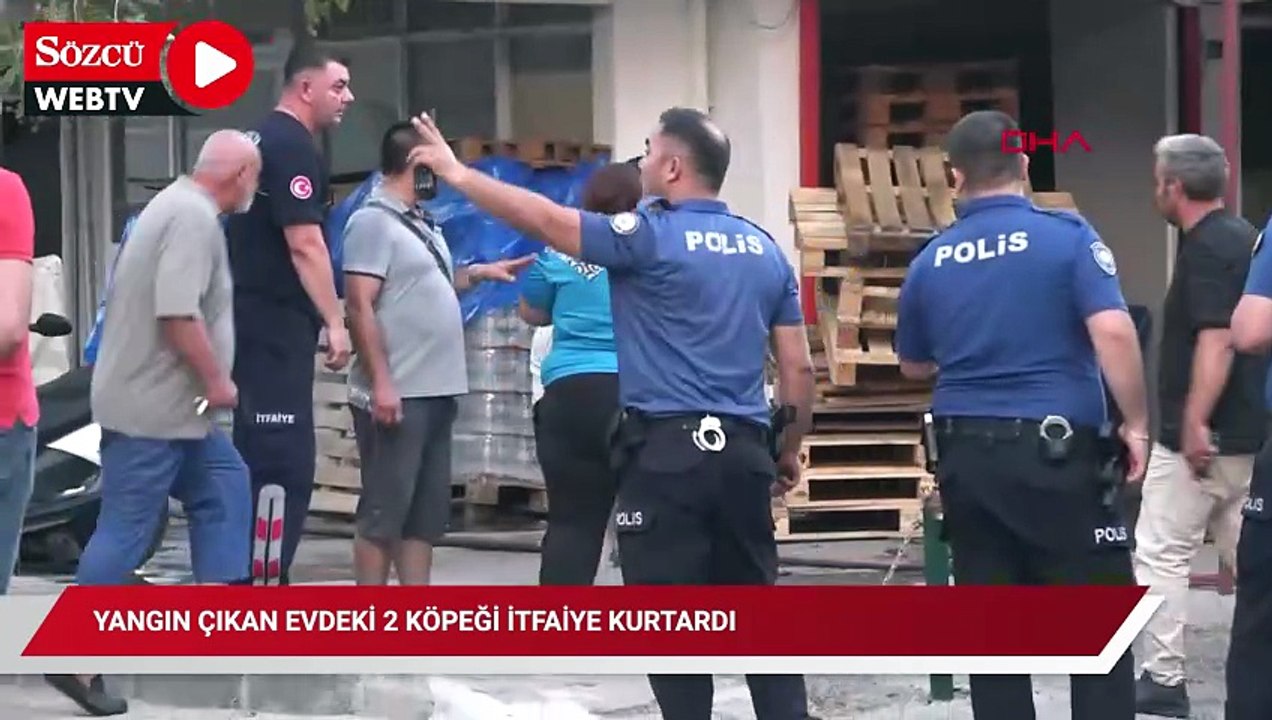 Yangın çıkan evdeki 2 köpeği itfaiye kurtardı