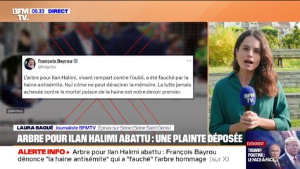 Arbre pour Ilan Halimi abattu: François Bayrou dénonce "la haine antisémite"